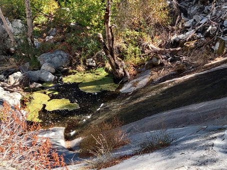 Hitting the Trail---with a Pick and a Rake