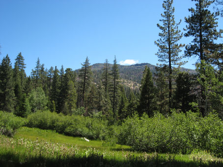 Trip Report:  Carson-Iceberg Wilderness