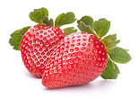 Fresh Strawberries