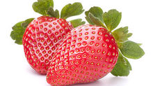 Yummy Fruit Salad
