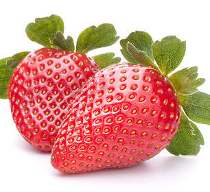Growing Strawberries