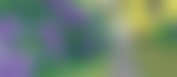 Why is Median House Value Important?