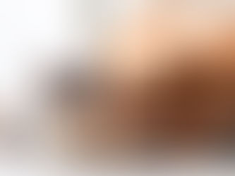 Aumento da pena para quem maltratar cães e gatos segue para sanção