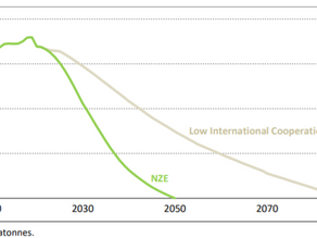 Imagining the net-zero carbon pathways