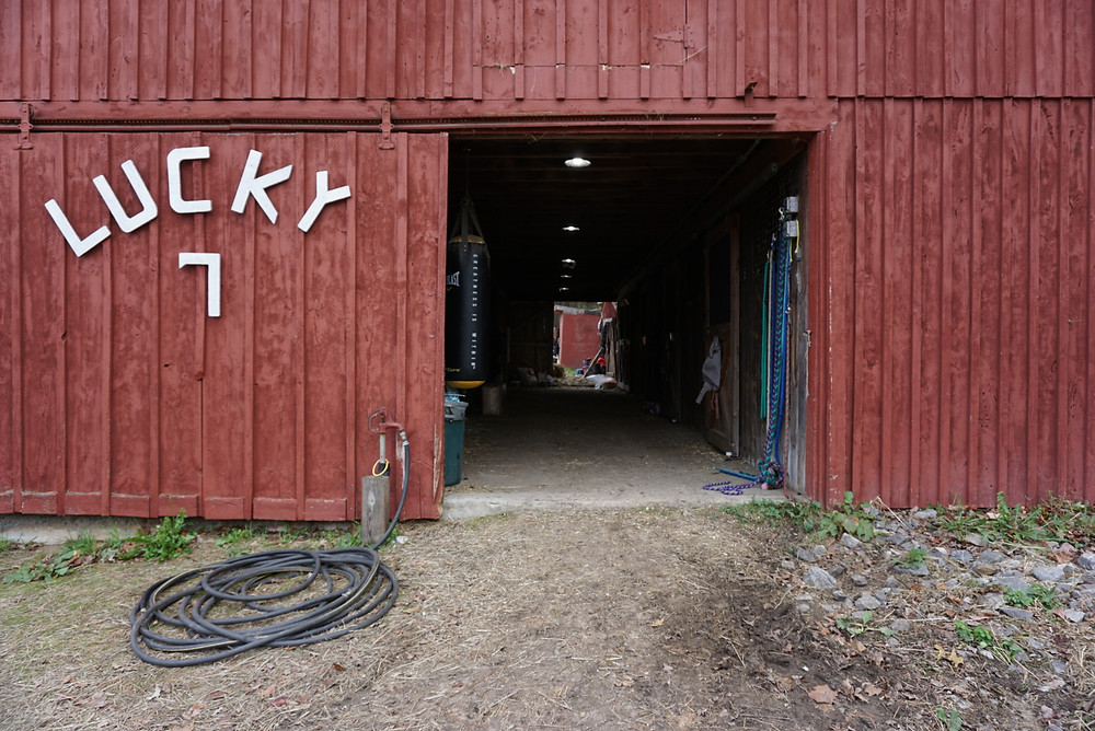 Lucky 7 Red Barn