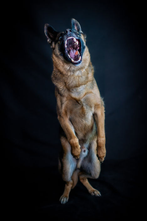 Viggo Graves_2025_168