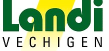 landilogo.png