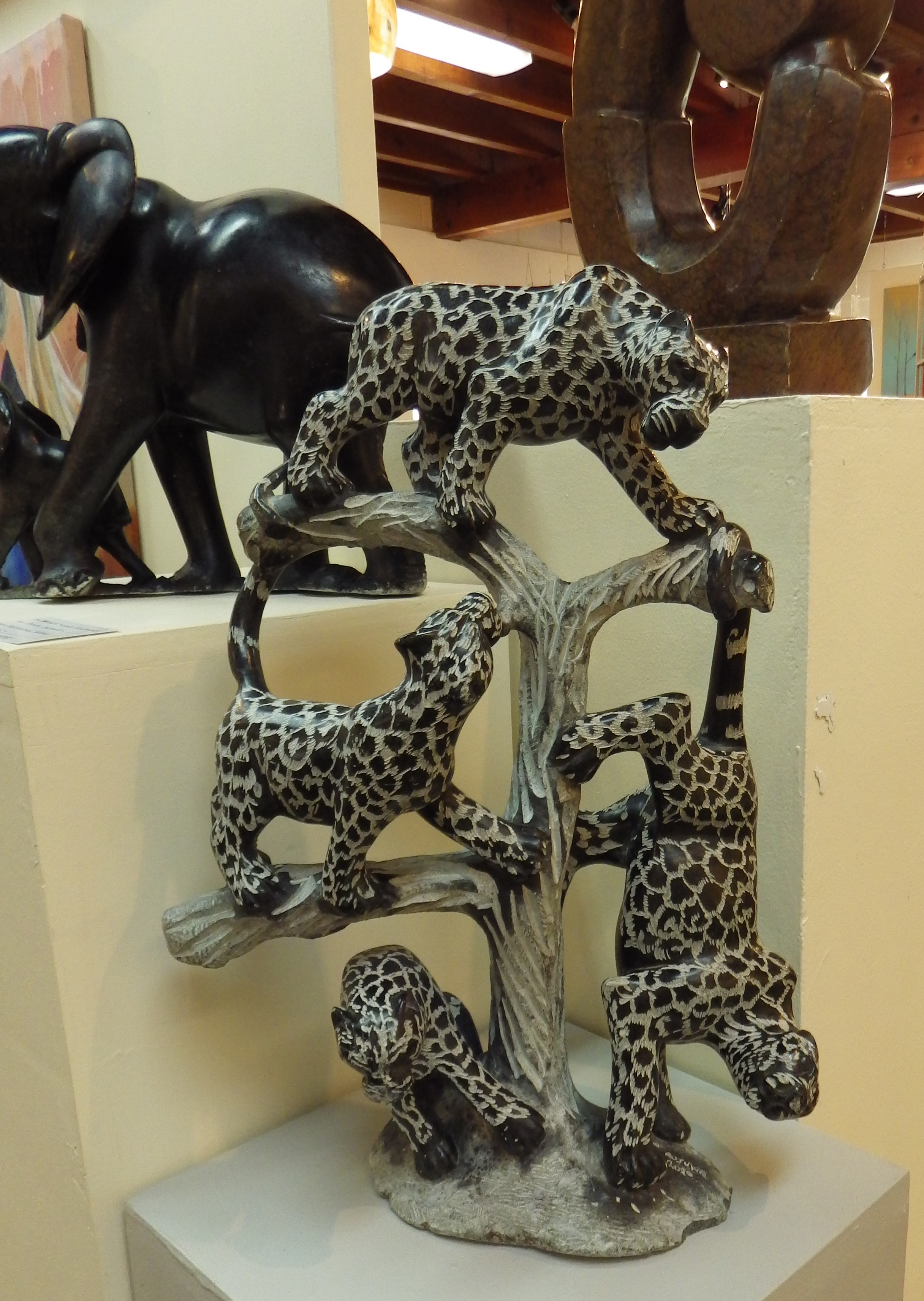 leopards