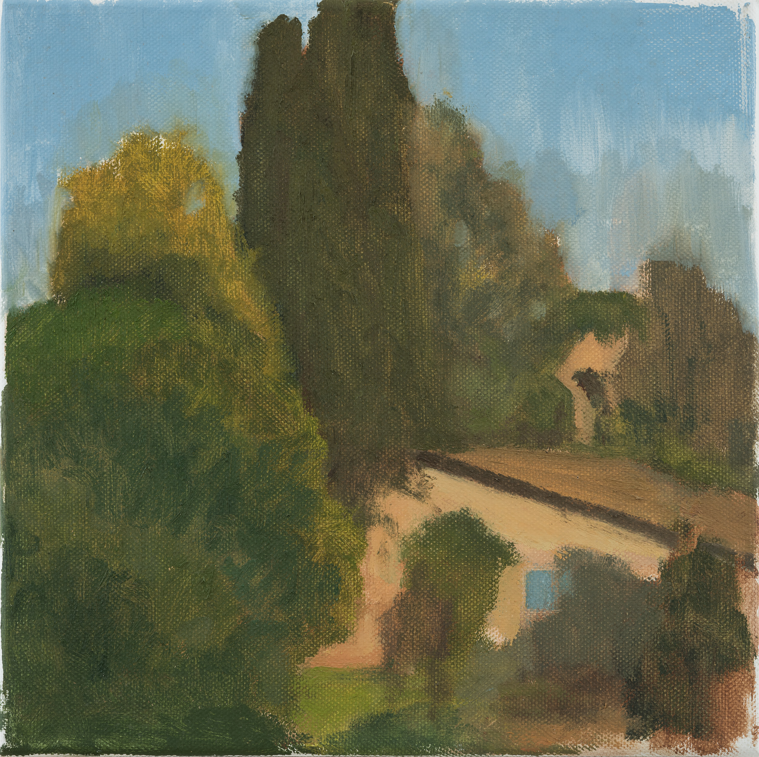 Balcony View_2018