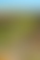 Warum sich Veränderung manchmal falsch anfühlt