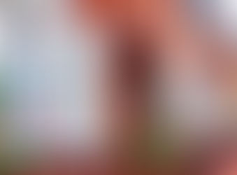 The Demise of the By-to Let ?