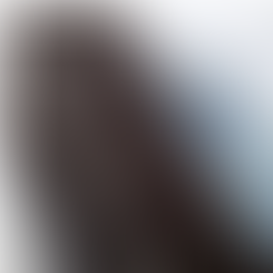 HOTEL PRICES AVERAGE £500,000 PER ROOM IN CENTRAL LONDON