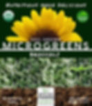 BROCCOLI PACKAGING.jpeg