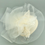 Thumbnail: Cream Fascinator 