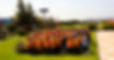 GROEPSFOTO2 HORIZONTAAL.jpg