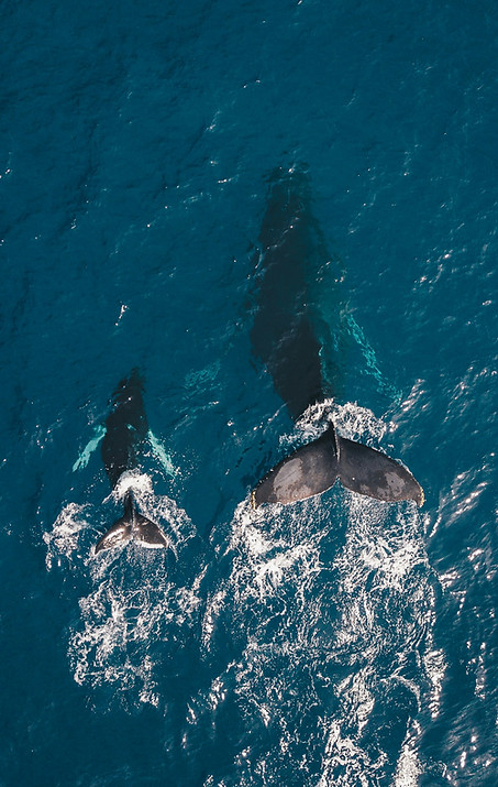 guille-pozzi-PO0UHx-5mHo-unsplash.jpg
