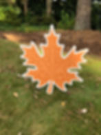 Light orange fall leaf