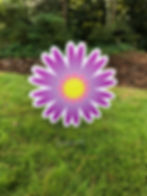 Purple Flower
