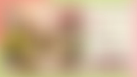 3/31(火)まで!春のワインセール開催中🌸