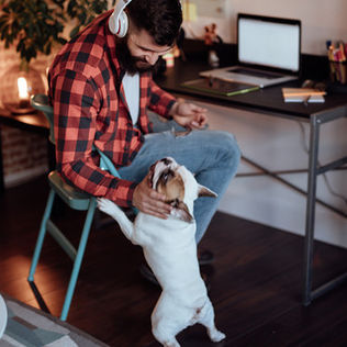 Working from home? How to be productive?