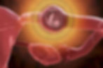 Ectopic Pregnancy.jpg