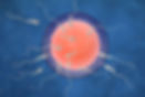 517914676.jpg