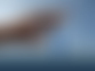 Wie kann man die Industrie noch retten?