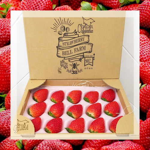 フレッシュいちご 2パック 24〜30粒 600g | BELL FARM.ME