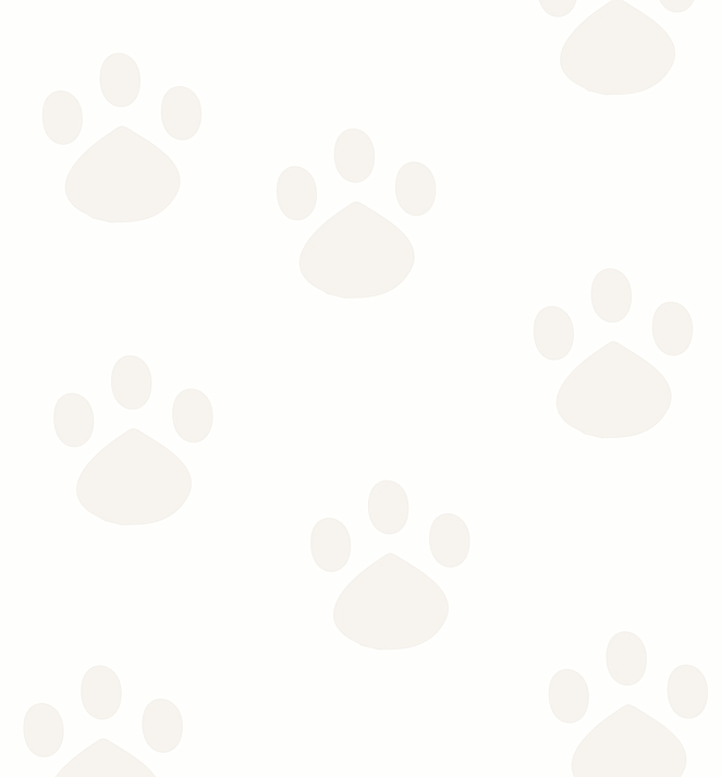 adestrador de filhotes