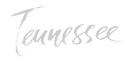 W tennessee-modern-dry-brush-lettering-retro-vector-17615610_edited.png