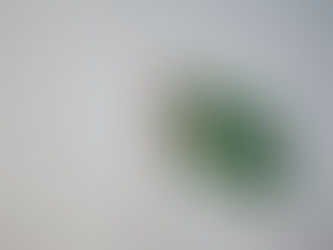 PAKISTAN - TURNING THE TIDE