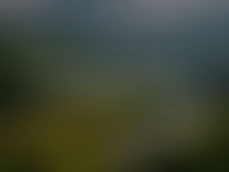 Hållbarhetsrapport 2024