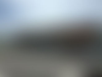 南種子町トンミー市場