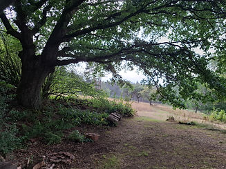 20260828_183811.jpg