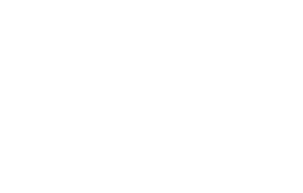 A decorative wave line