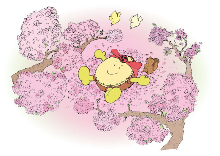 Sakura Donta 2019.jpg