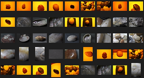 Screenshot 2025-05-14 at 19.04.15.png