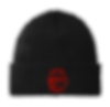 Red Cedar Racoons - Port Authority Beanie