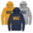 Haslett Football - Gildan Adult Hoodie