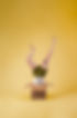 machmerphoto_Breegank-2.jpg
