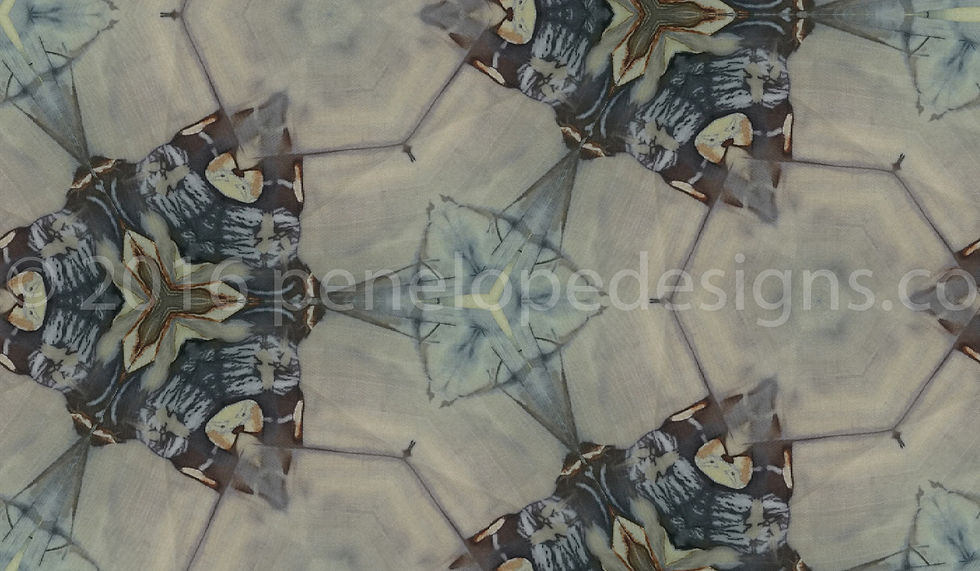 soft grey 0333_watermarked