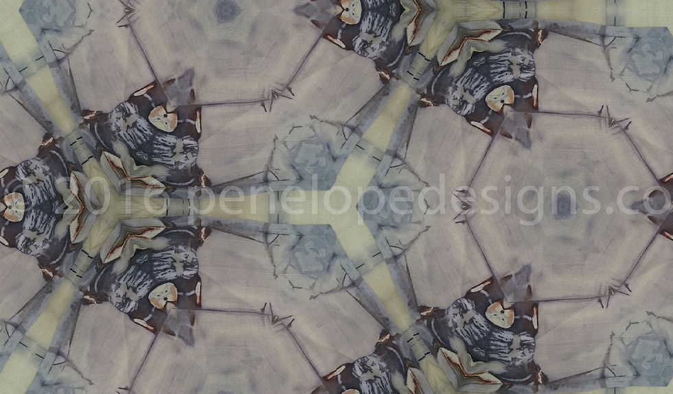 soft grey 0334_watermarked
