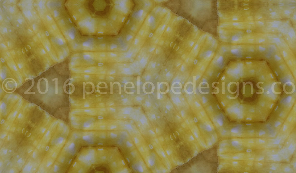 dyers camomile 0348_watermarked