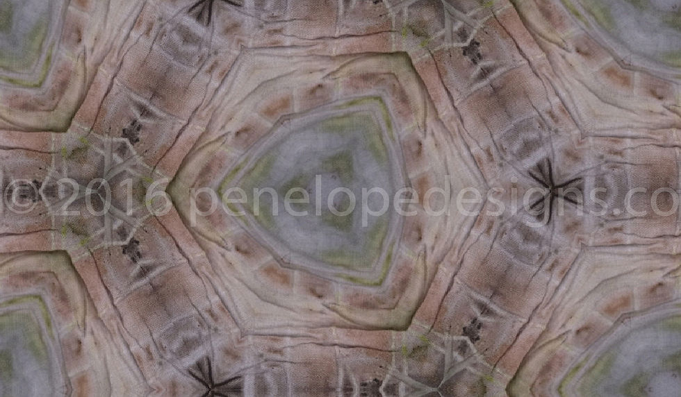 avocado 1372_watermarked