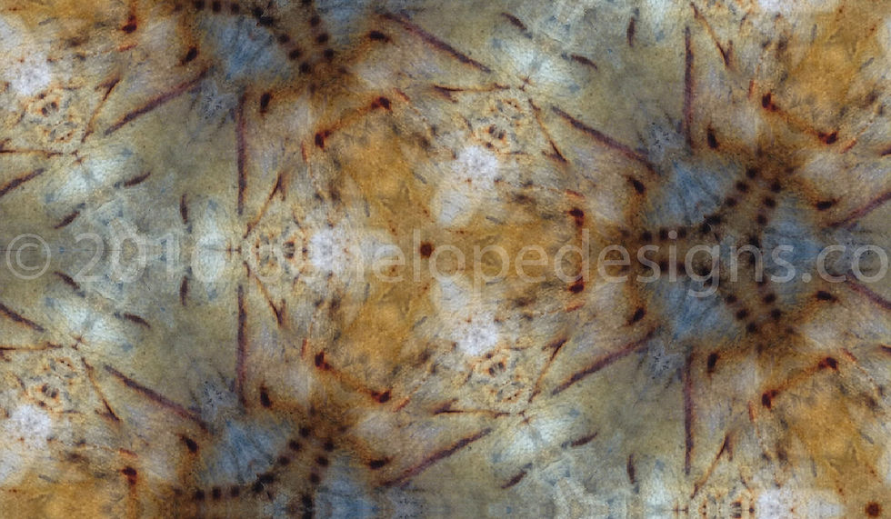 turmeric and indigo 1311_watermarked