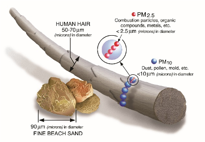 Image shows sand compared to human hair