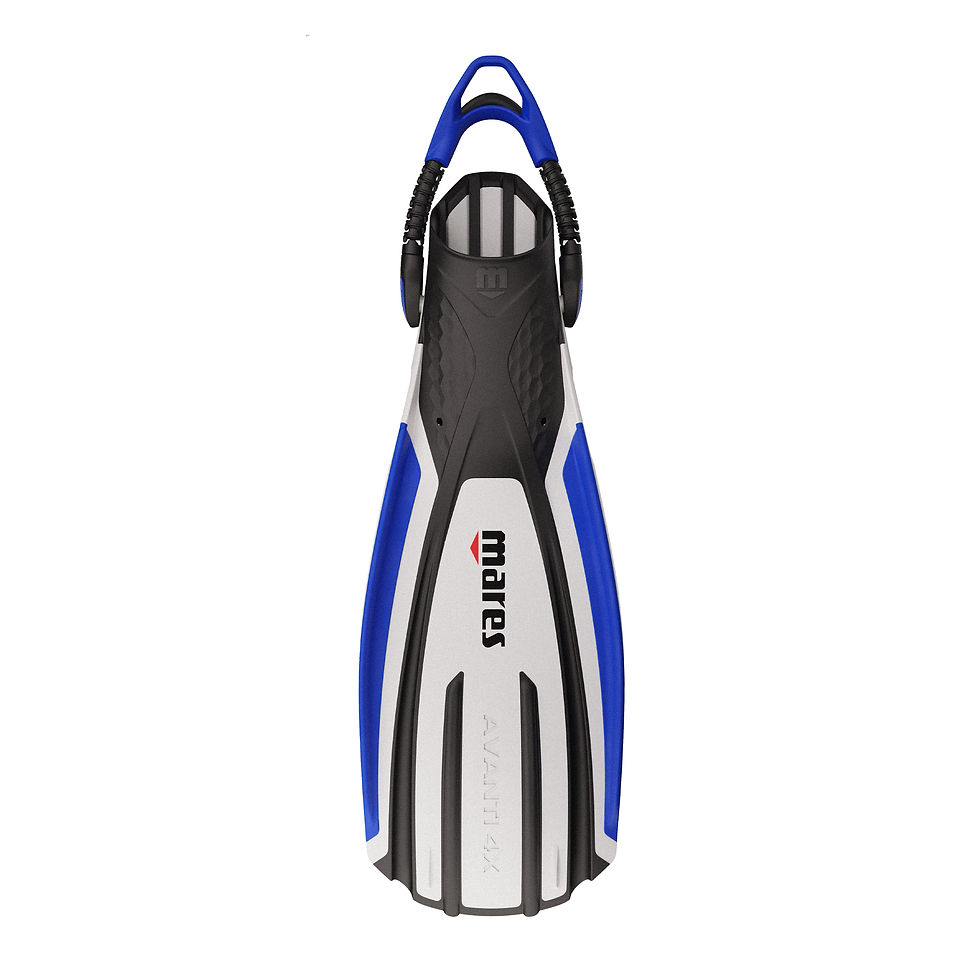 Miniatura: AVANTI 4X