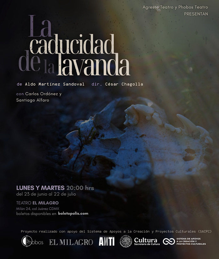 Teatro que te llevé a preguntarte sobre ti, sobre tu vida, sobre tus experiencias.                            Texto y fotos: Salvador Perches Galván.