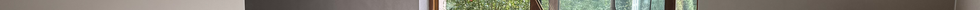 GettyImages-1190411433_edit 1.jpg