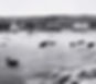 ilets-caribou1930_edited
